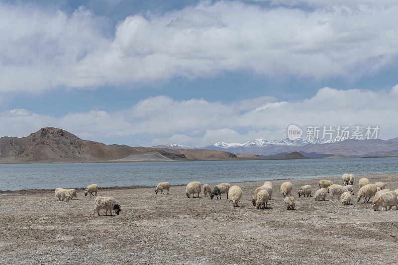 青海的风景stock photo